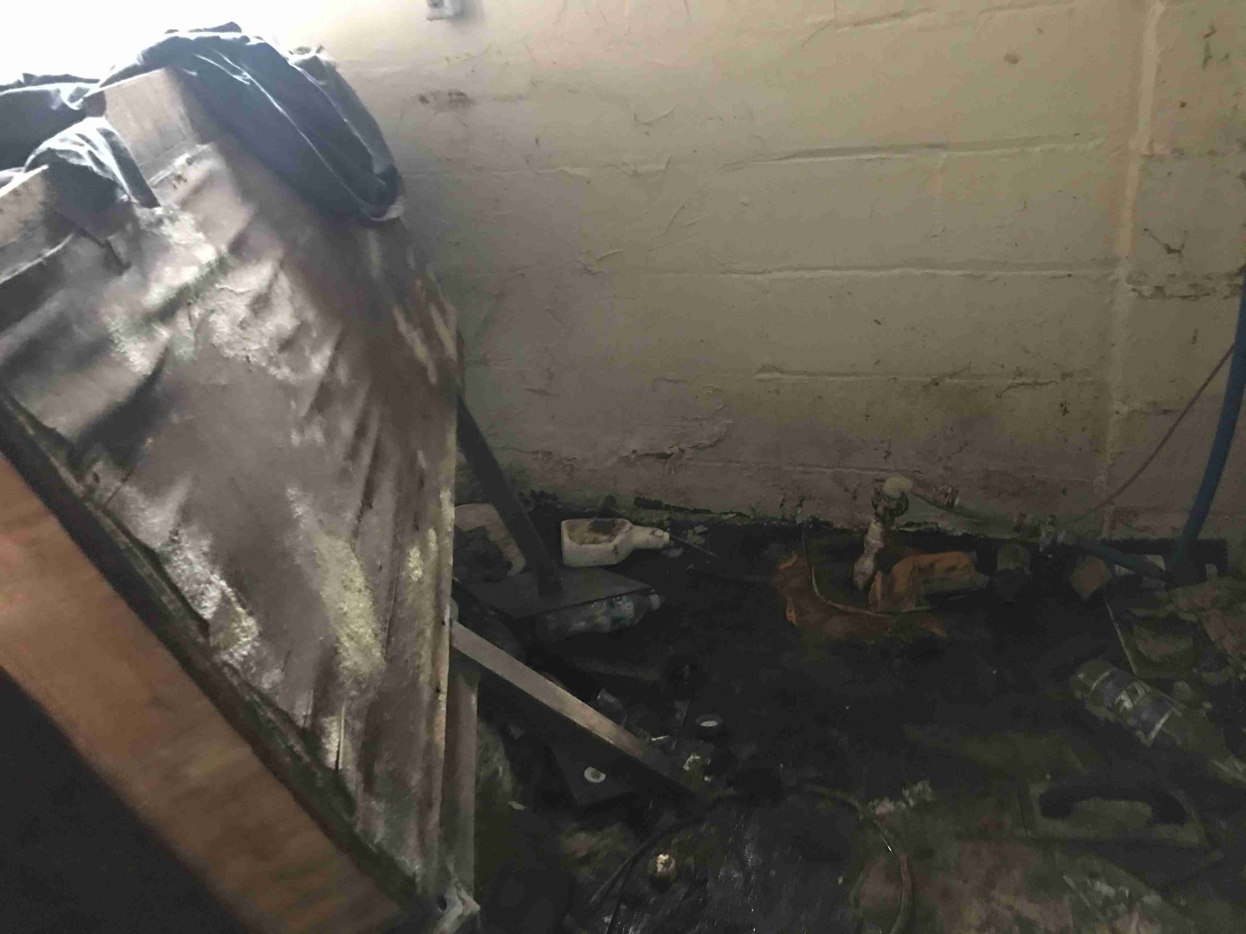 Photo Oct 13, 12 37 28 PM.jpg